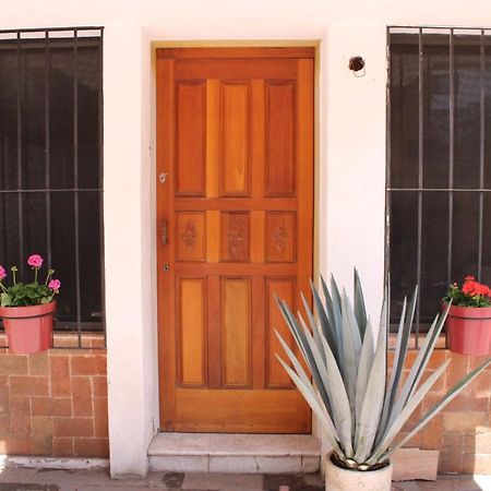 מקסיקו סיטי Casa Luna Coyoacan מראה חיצוני תמונה
