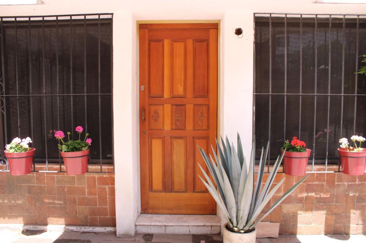 מקסיקו סיטי Casa Luna Coyoacan מראה חיצוני תמונה